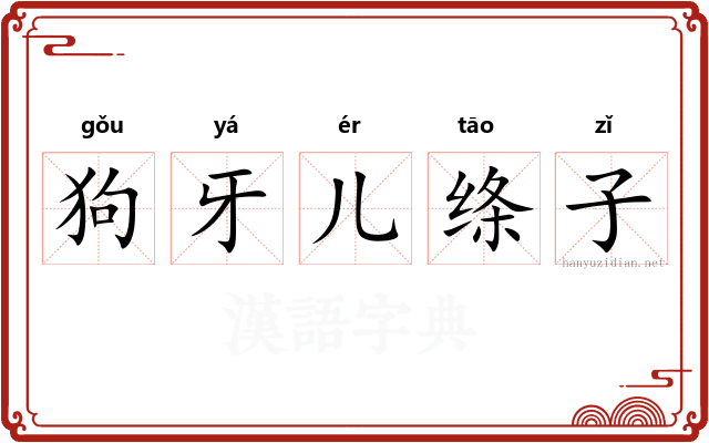 狗牙儿绦子 狗牙儿绦子