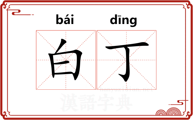 白丁 白丁