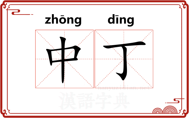中丁