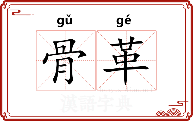 骨革 骨革