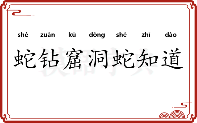 蛇钻窟洞蛇知道