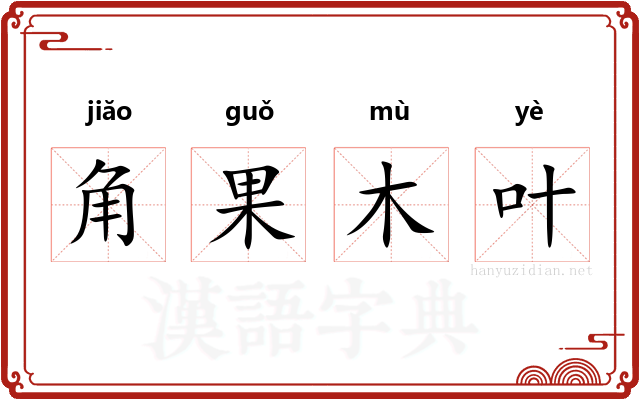 角果木叶