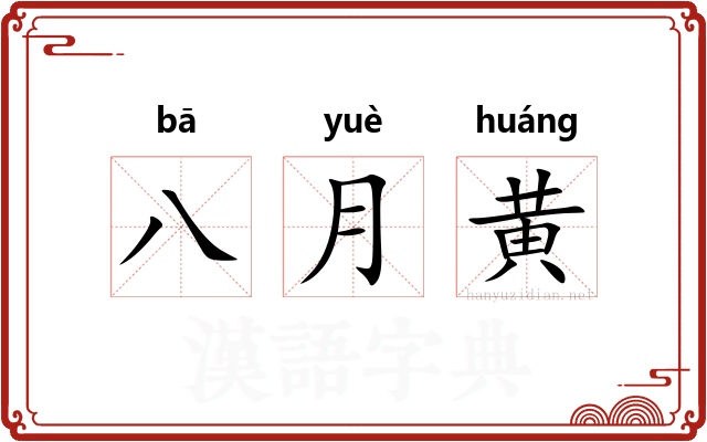 八月黄 八月黄