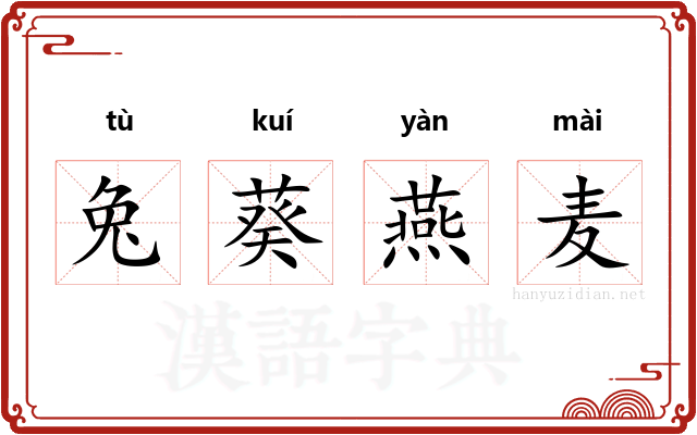 兔葵燕麦 兔葵燕麦