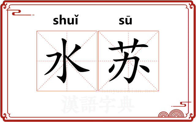 水苏 水苏