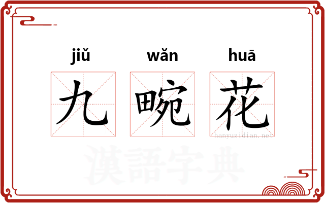九畹花