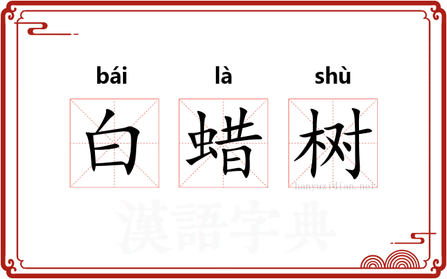 白蜡树