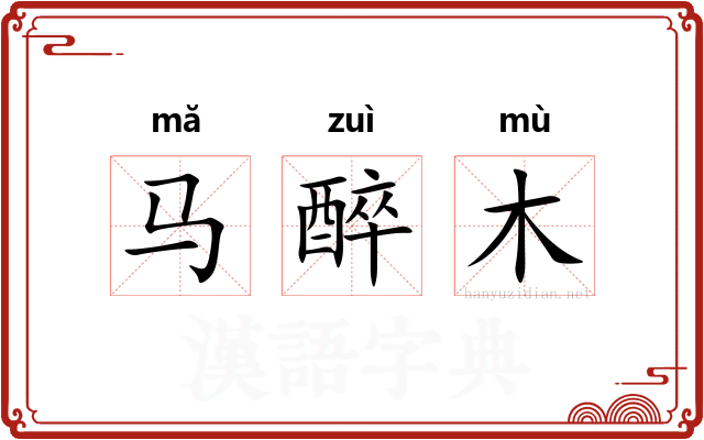 马醉木