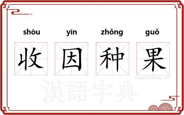 收因种果