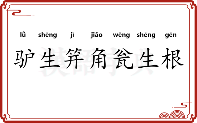 驴生笄角瓮生根 驴生笄角瓮生根