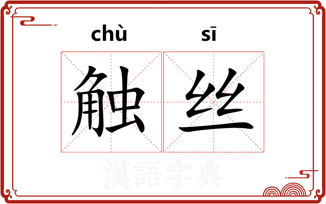 触丝