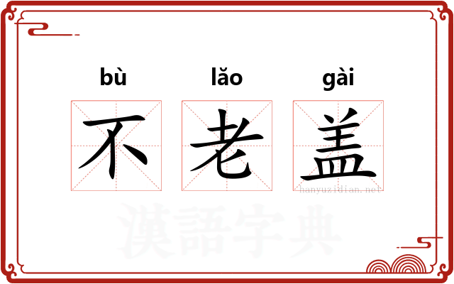 不老盖
