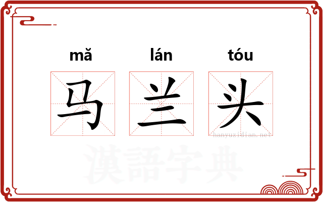 马兰头 马兰头