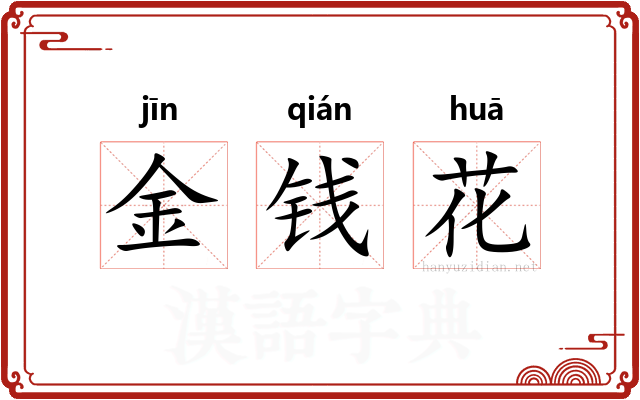 金钱花