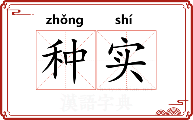 种实