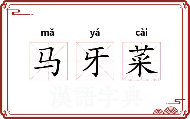 马牙菜