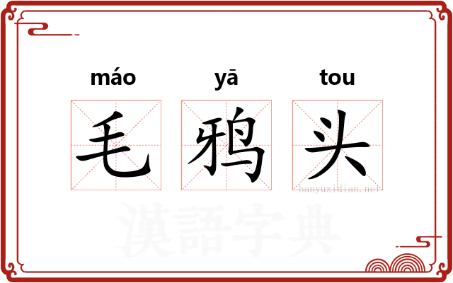毛鸦头