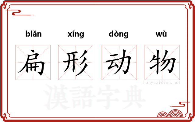 扁形动物 扁形动物