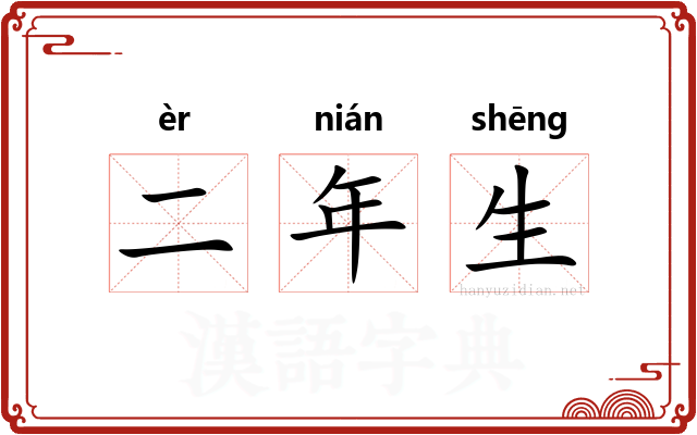 二年生 二年生