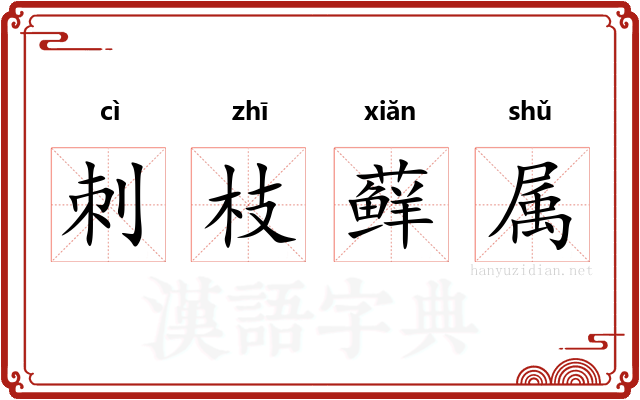 刺枝藓属 刺枝藓属