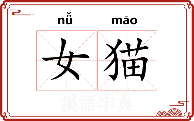 女猫