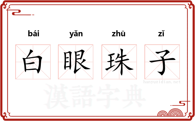 白眼珠子