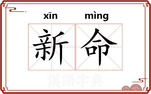 新命