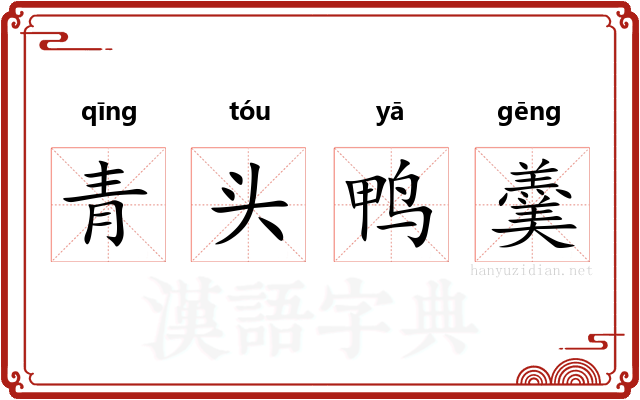 青头鸭羹 青头鸭羹