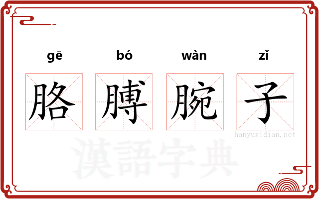 胳膊腕子 胳膊腕子