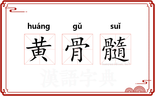 黄骨髓 黄骨髓
