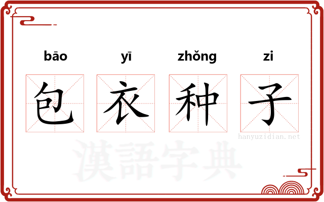 包衣种子 包衣种子