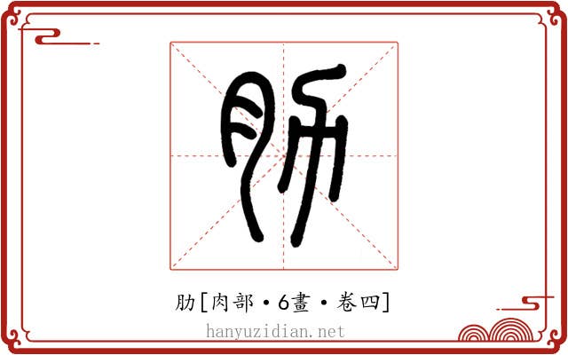 肋