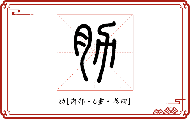 肋