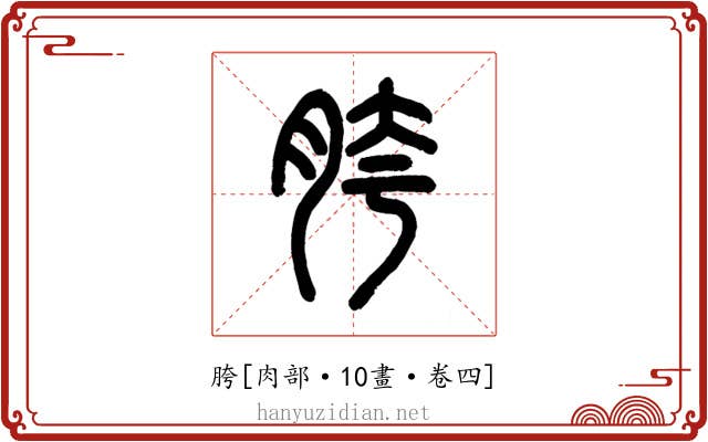 胯