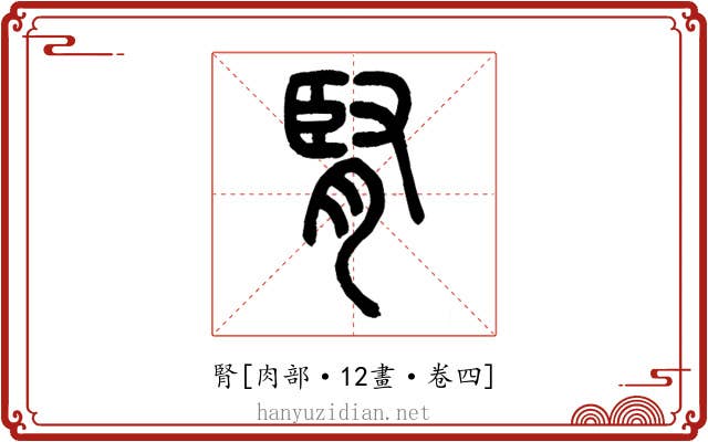 腎