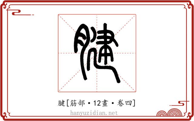 腱