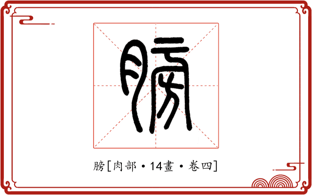 膀