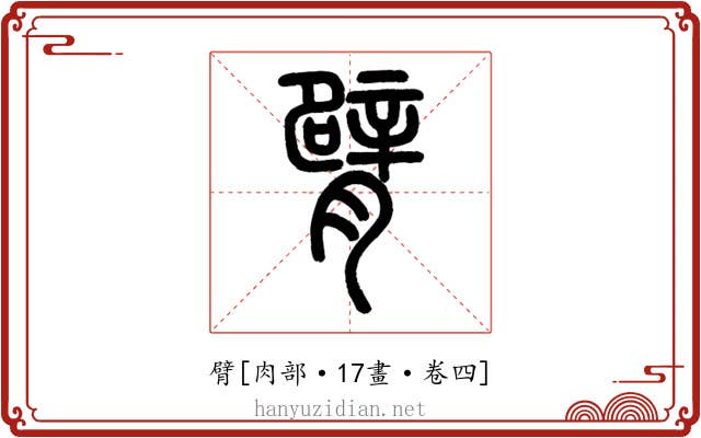 臂