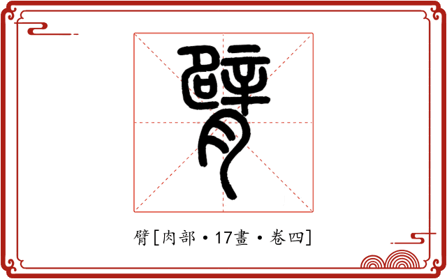 臂