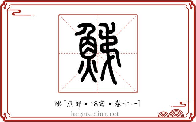 鮷
