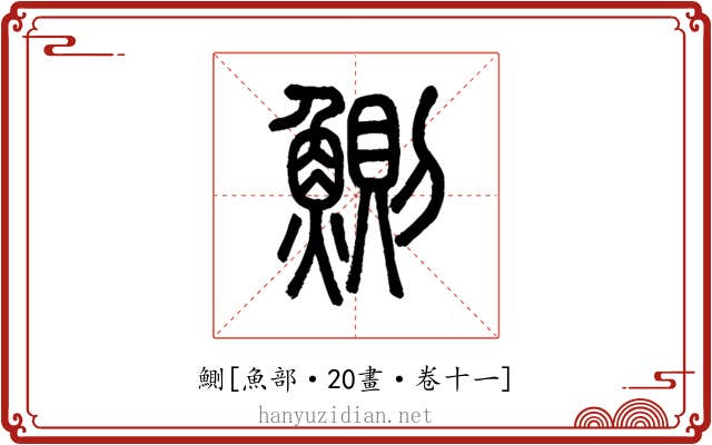 鰂