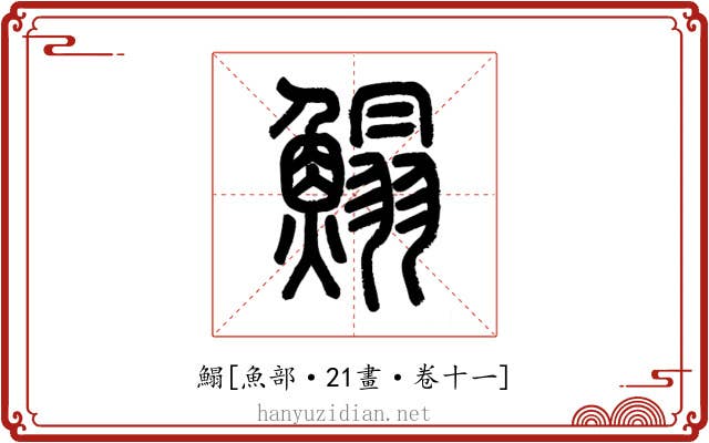 鰨