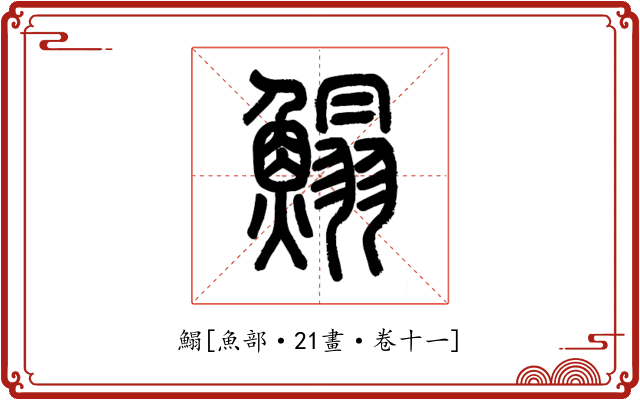 鰨