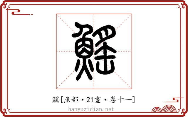鰩