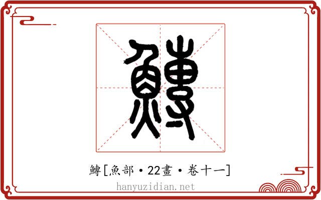 鱄