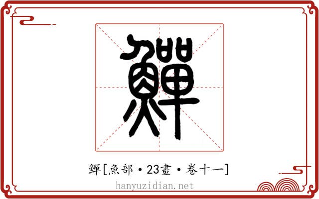 鱓