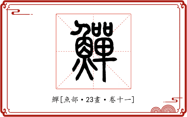 鱓