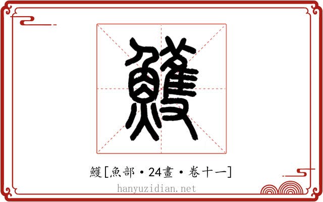 鱯