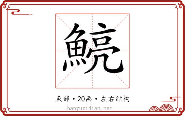 𩹗