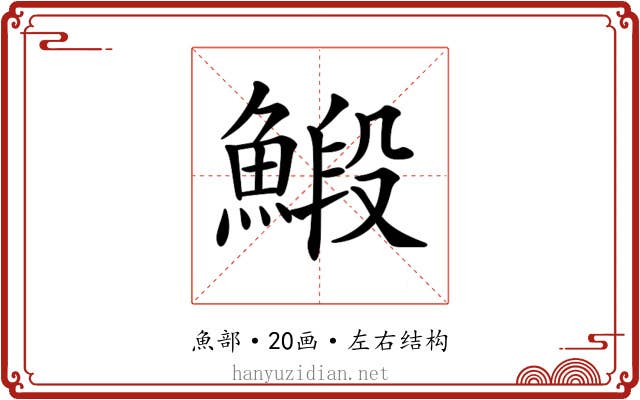 𩹨